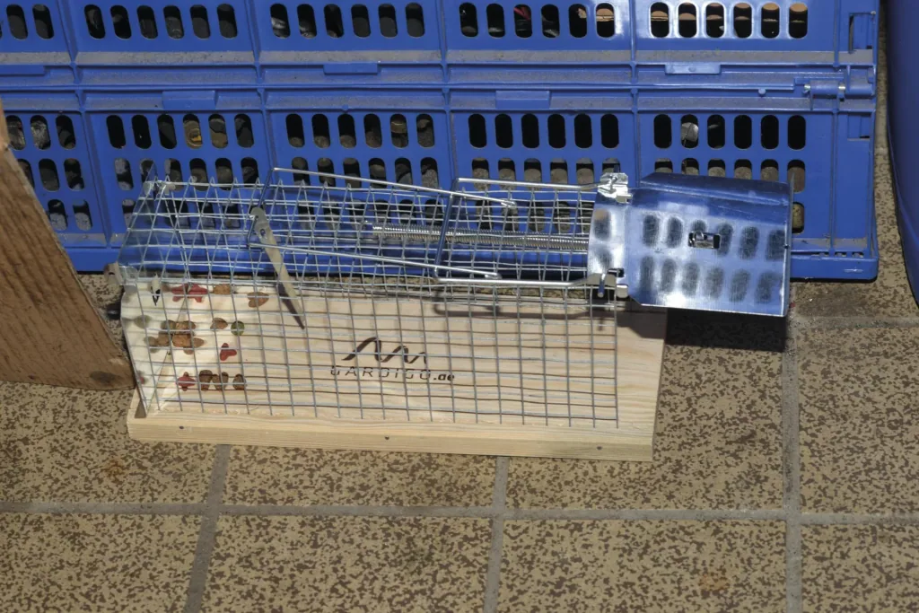 Ratten Lebendfalle Käfig