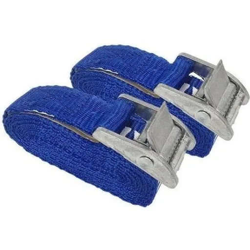 Zurrgurt mit Schnalle 2,5 Meter x 25 mm - 2 Stück - 250kg - GS / TUV