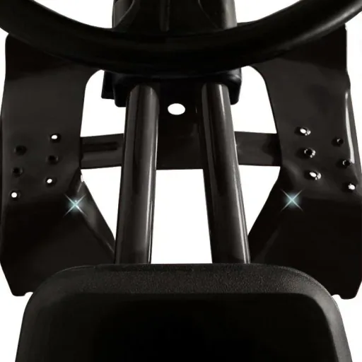 Schlitten bis zu 75 kg schwarz