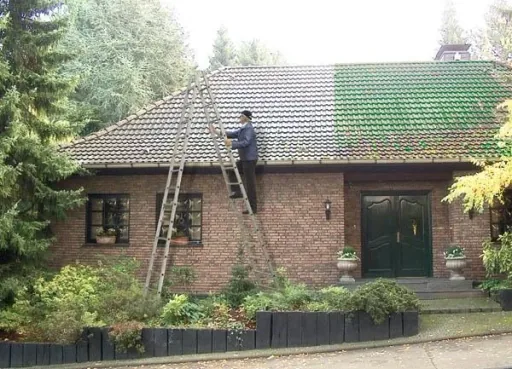 Dachreiniger 1 l