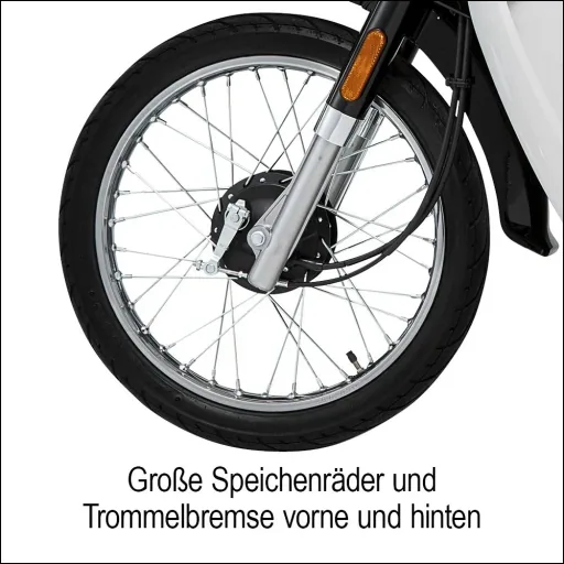E-Roller / Retromofa "Turin" 45 km/h inklusive 26 Ah Lithium-Akku schwarz/weiß