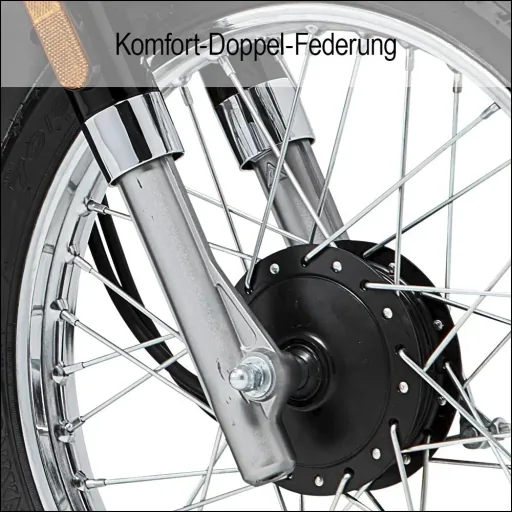E-Roller / Retromofa "Turin" 45 km/h inklusive 26 Ah Lithium-Akku schwarz/weiß
