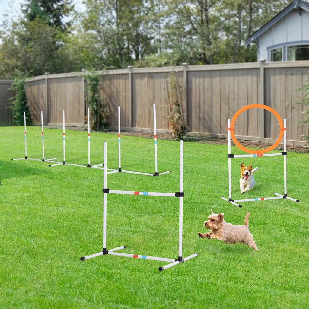 3-tlg. Hunde Agility Set Training für Haustiere Hundetrainigsset Inklusive Tasche Leicht zu tragen Kunststoff Weiß+Gelb