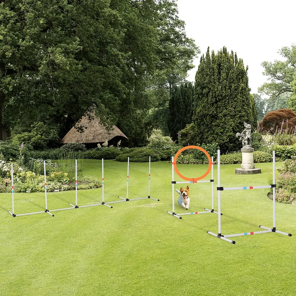 3-tlg. Hunde Agility Set Training für Haustiere Hundetrainigsset Inklusive Tasche Leicht zu tragen Kunststoff Weiß+Gelb
