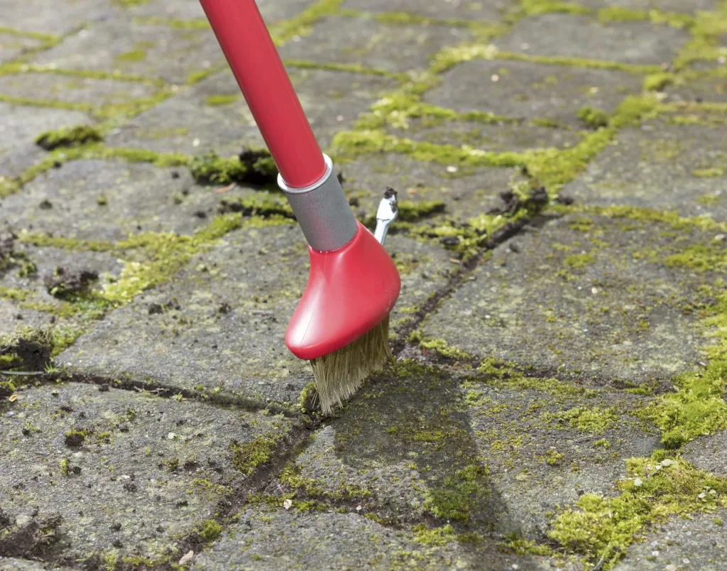 3 in 1 Garten-Unkraut-Bürsten Set - teleskopierbar