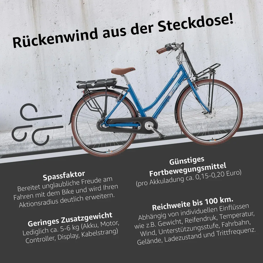 Unisex Alu-City E-Bike, 28 Zoll, 3-Gang Nabenschaltung, blau, RT530