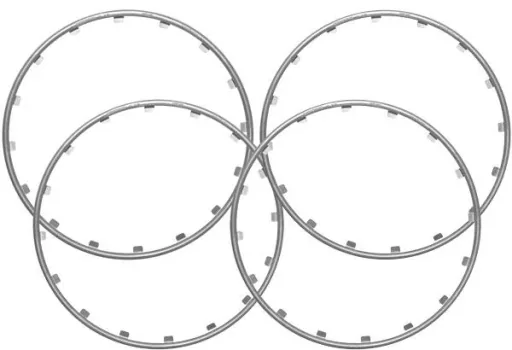 Rim Ringz Felgenring, 20 Zoll, Farbe silber