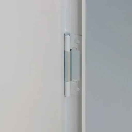 Flügeltürschrank RAL 7035, 195x92x50cm