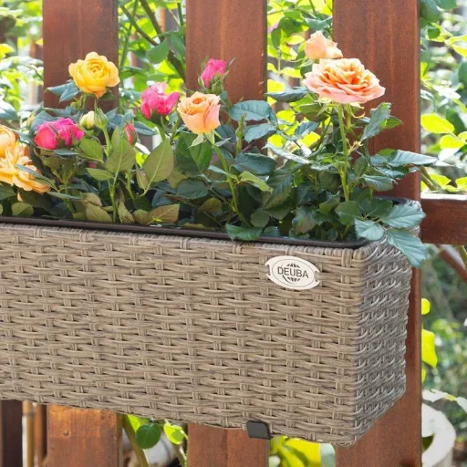 2x Rattan Balkonpflanzer creme