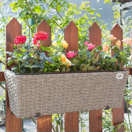 2x Rattan Balkonpflanzer creme