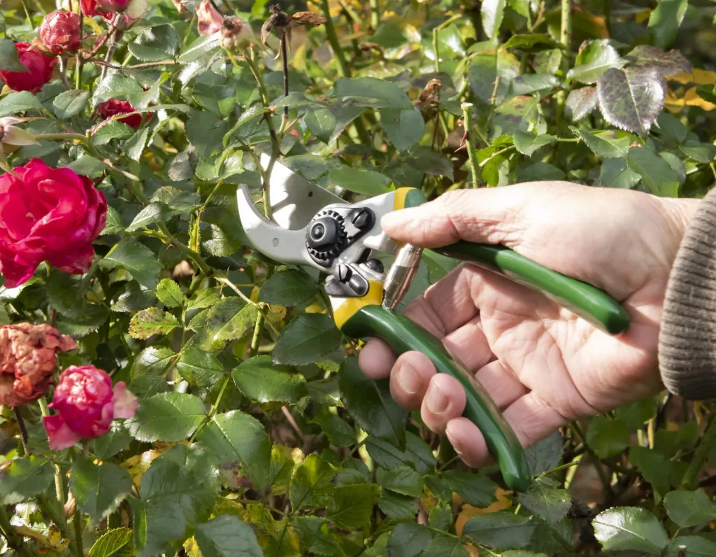 Einhand-Gartenschere, Classic