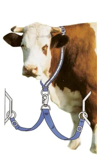Halsbänder für Kühe - blau