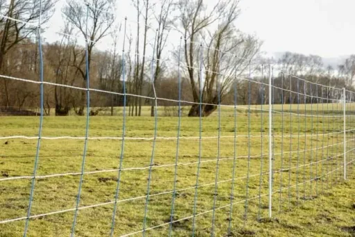 TitanNet 145, blau/weiß 50 m Höhe: 145 cm - Doppelspitze