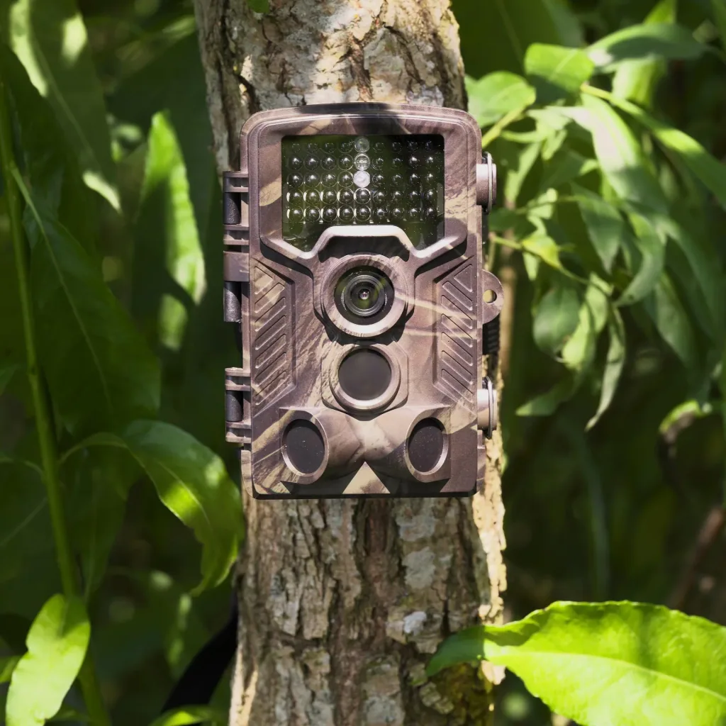 Wild- und Überwachungskamera mit 8 MP, 2" Farb-Display und integriertem GSM-Modul
