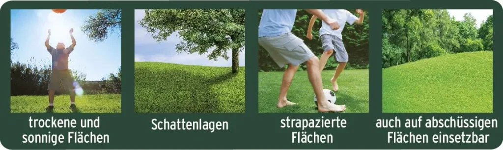 Magisches Rasen-Pflaster 3,6 kg