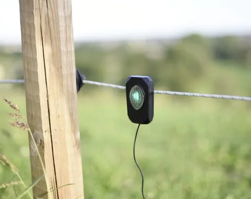 Pulse Flash, schwarz, mit grüner LED