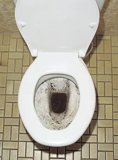 WC Reinigungstabletten"Swiss Tabs", gründliche Reinheit, 20 Stück
