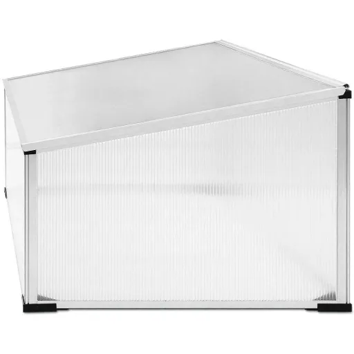 Kleines Gewächshaus 100 x 60 x 40/31 cm