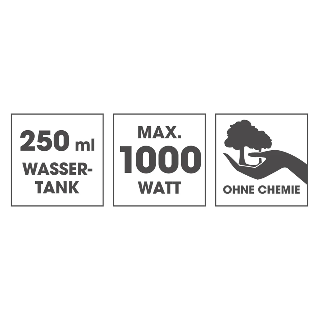 Dampfbesen, 1000 W