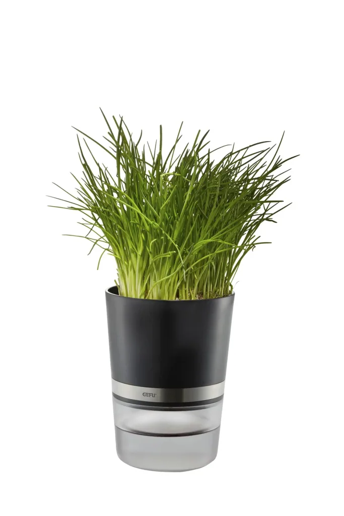 Kräutertopf "BOTANICO"