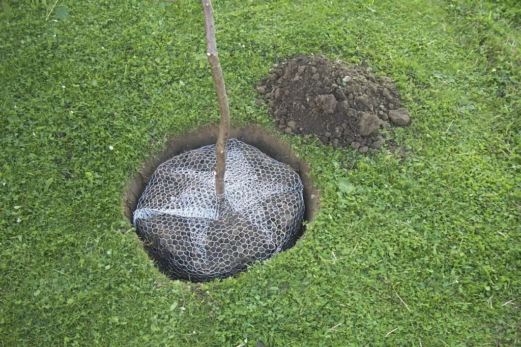 Wühlmauskorb klein, 40 cm hoch