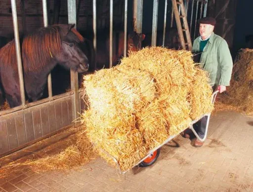 Alu Schweizer Karre, 100 kg Tragkraft