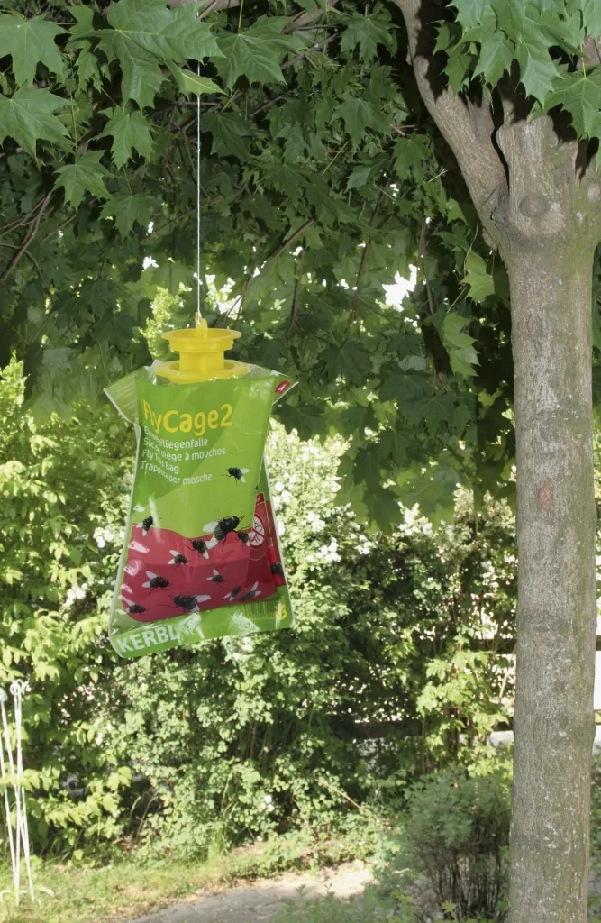 Fruchtfliegenfalle FlyCage2