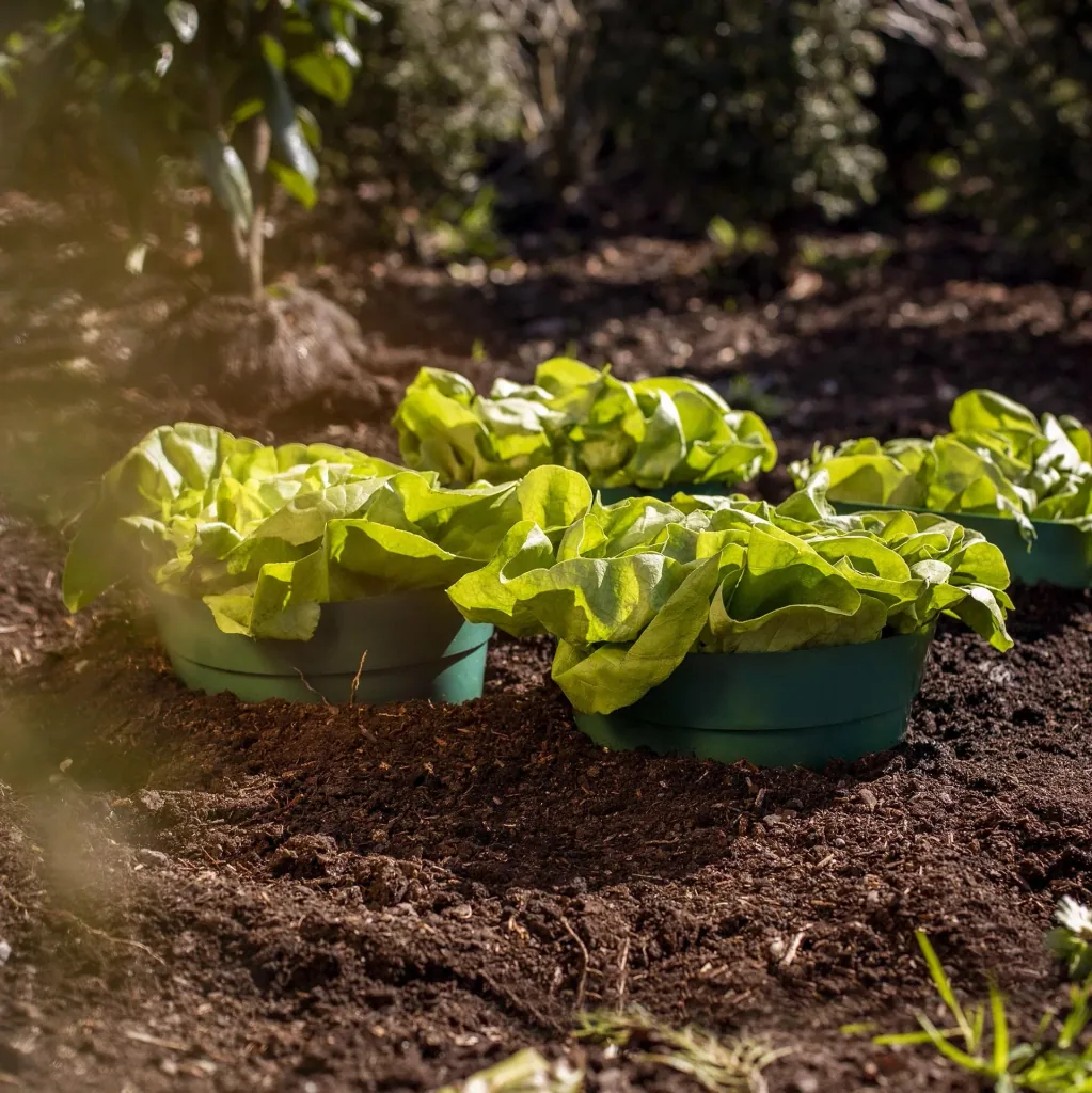 Erd-Bewässerungsring 5-er Set