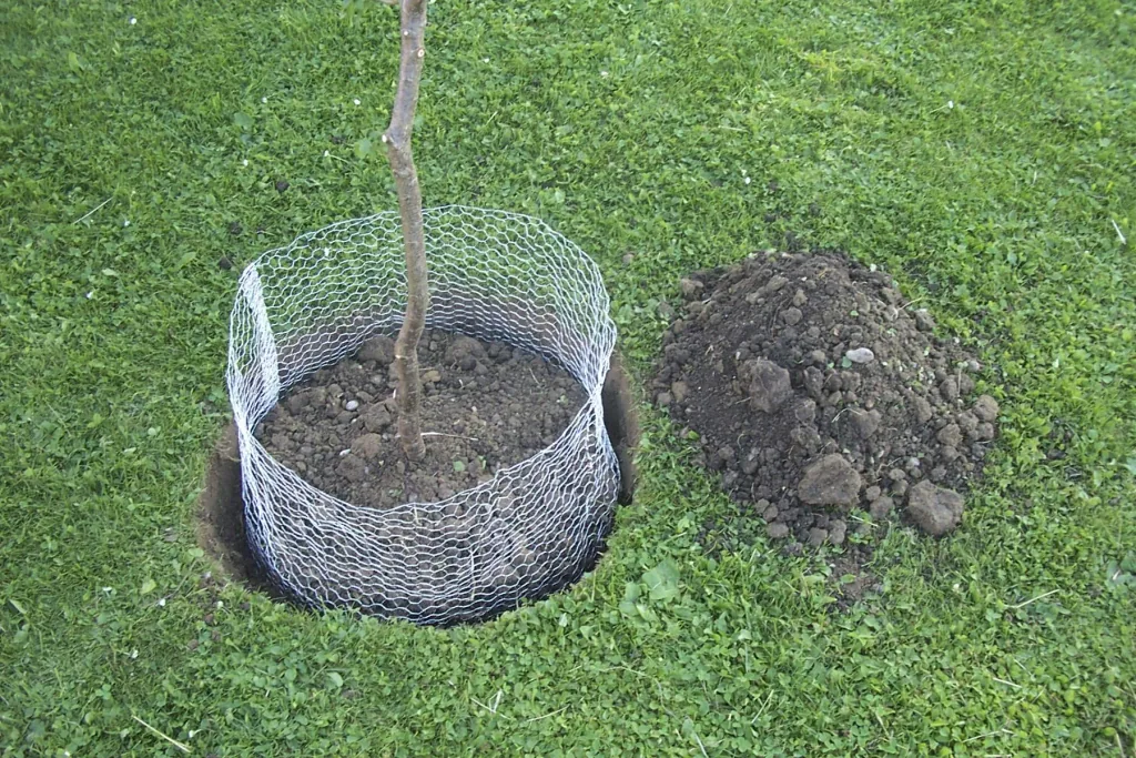 Wühlmauskorb unverzinkt, klein, 35 cm