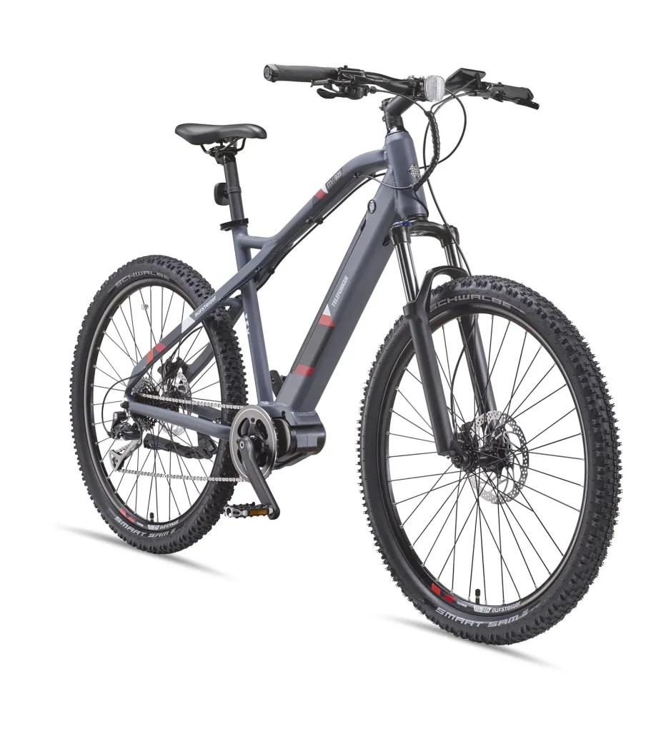 Unisex Alu MTB E-Bike, 29 Zoll, 8-Gang Kettenschaltung, grau, Aufsteiger M925 Hardtail