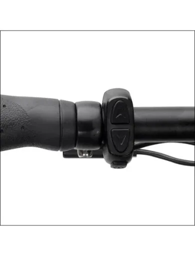 Unisex City E-Bike, 28 Zoll, Rahmenhöhe 50 cm, 7-Gang Nabenschaltung, silber, Hamburg