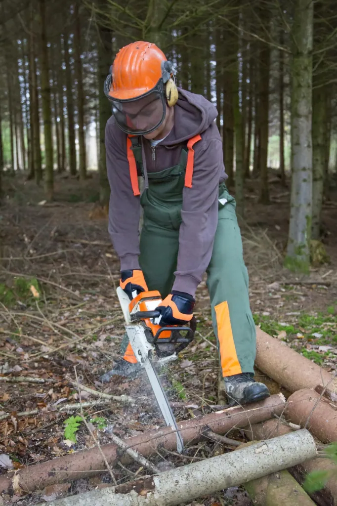 Motorsägenhandschuh Forester Gr. 9/L