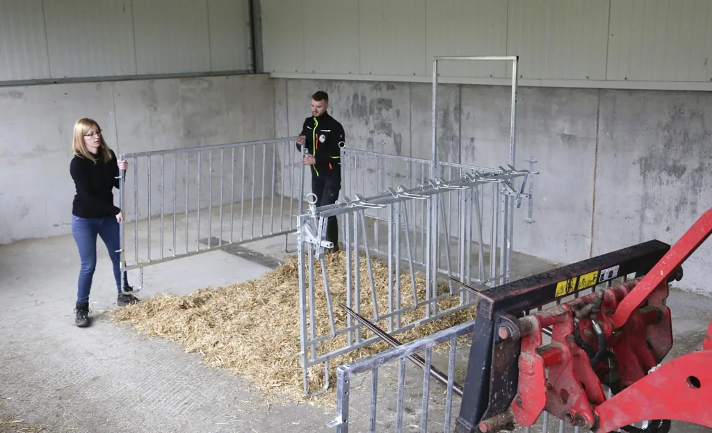 Fanggitter mit 5 Fressplätzen für modulare Zaunaufstallung