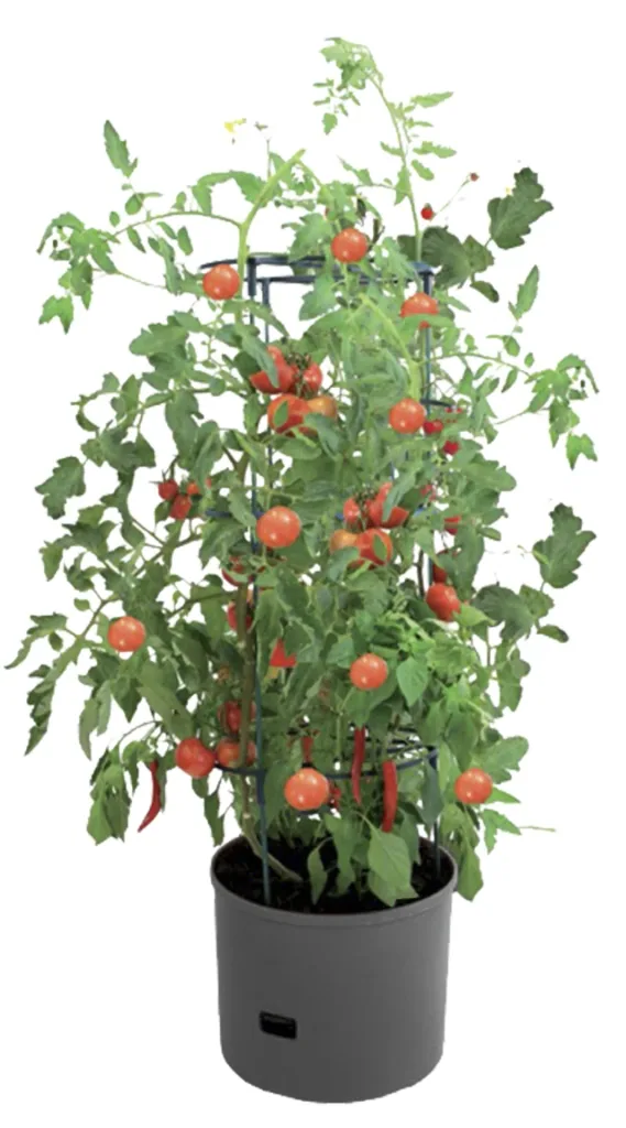 Pflanzturm "Maxitom Jumbo", anthrazit, 1 Stück