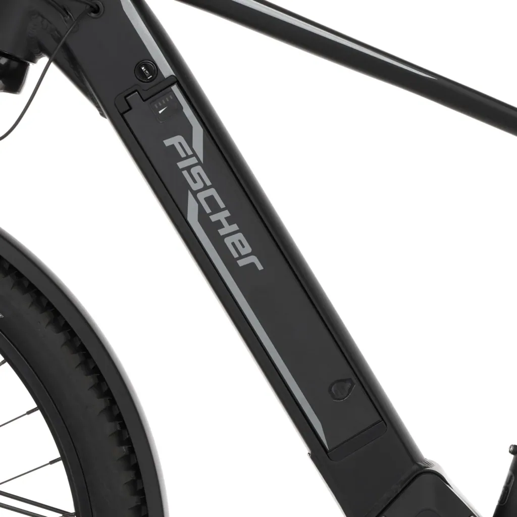 Herren E-Bike ATB, 29 Zoll, Rahmengröße 46cm, 10-Gang Kettenschaltung, schwarz matt, TERRA 5.0i