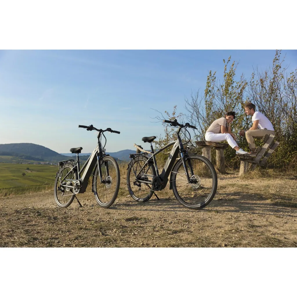 Damen E-Bike Trekking, 28 Zoll, Rahmengröße 49 cm,10-Gang Kettenschaltung, schiefergrau matt, VIATOR 5.0i