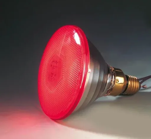 Infrarot-Sparlampen 100 Watt Philips
