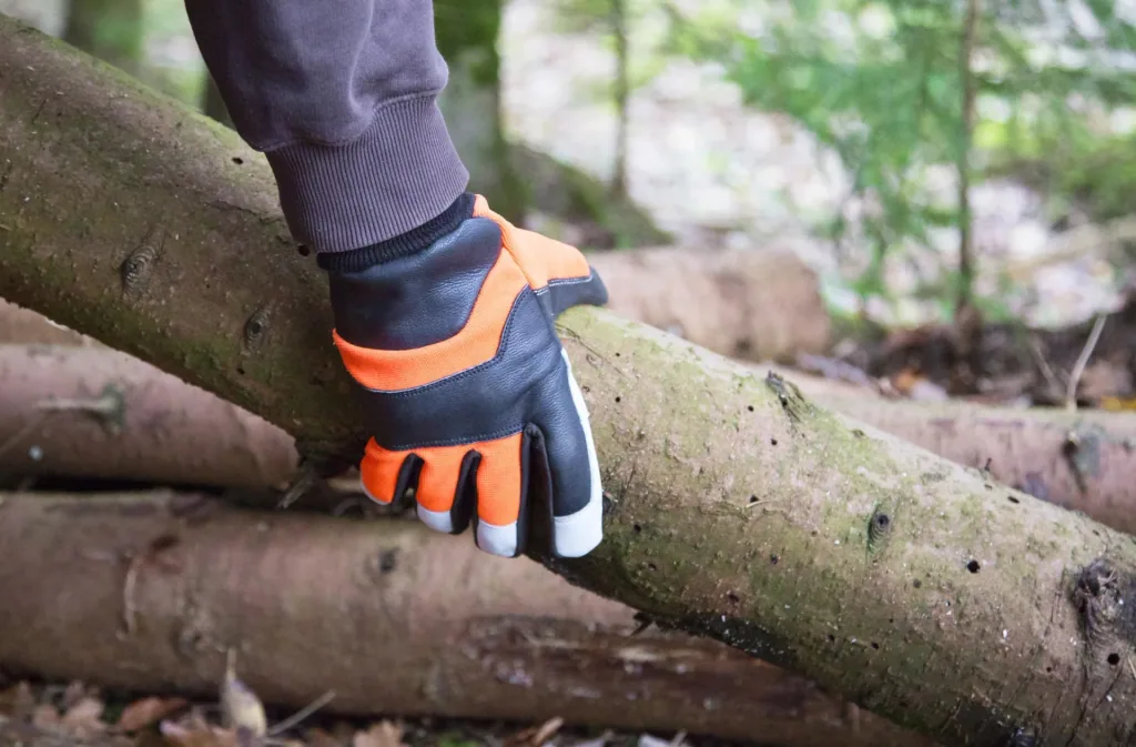 Motorsägenhandschuh Forester Gr. 10/XL