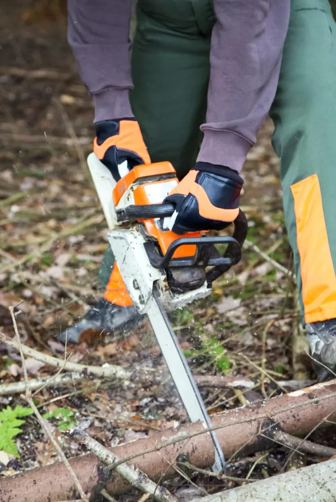 Motorsägenhandschuh Forester Gr. 10/XL