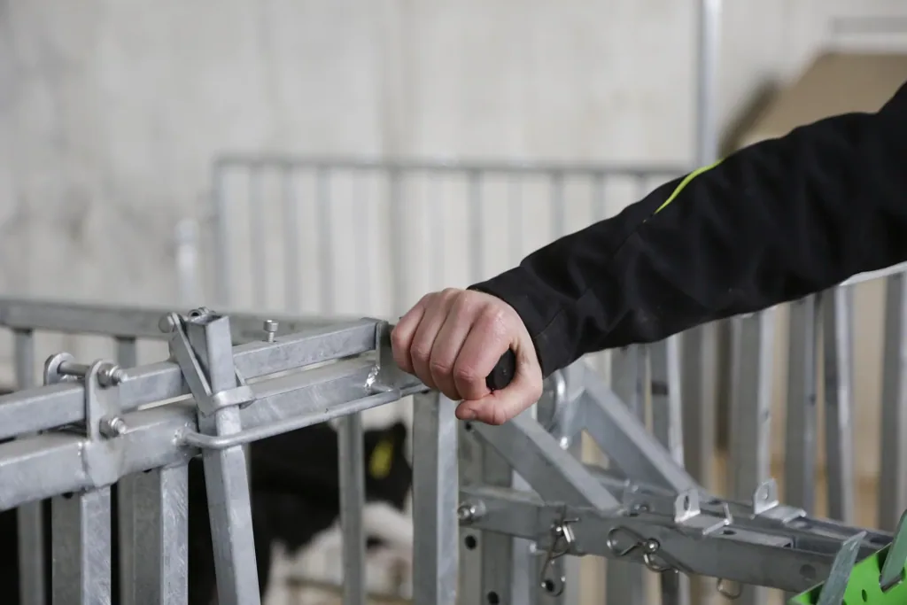 Zaunteil mit Tür und Fressplätzen, kurz, für modulare Zaunaufstallung