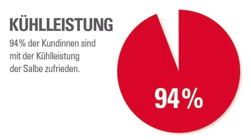 eimermachers echte Pferdesalbe Classic – kühlendes Gel für Menschen mit Kampfer & Arnika, 500 ml Dose