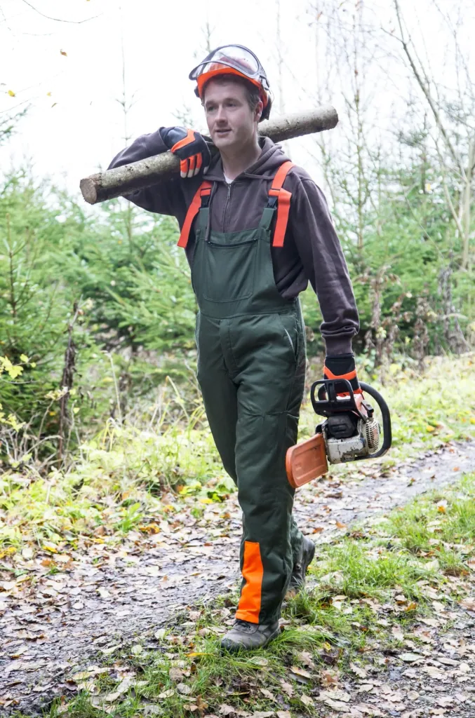 Motorsägenhandschuh Forester Gr. 11/XXL