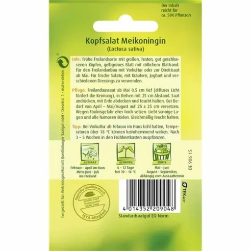 Kopfsalat, Maikönig