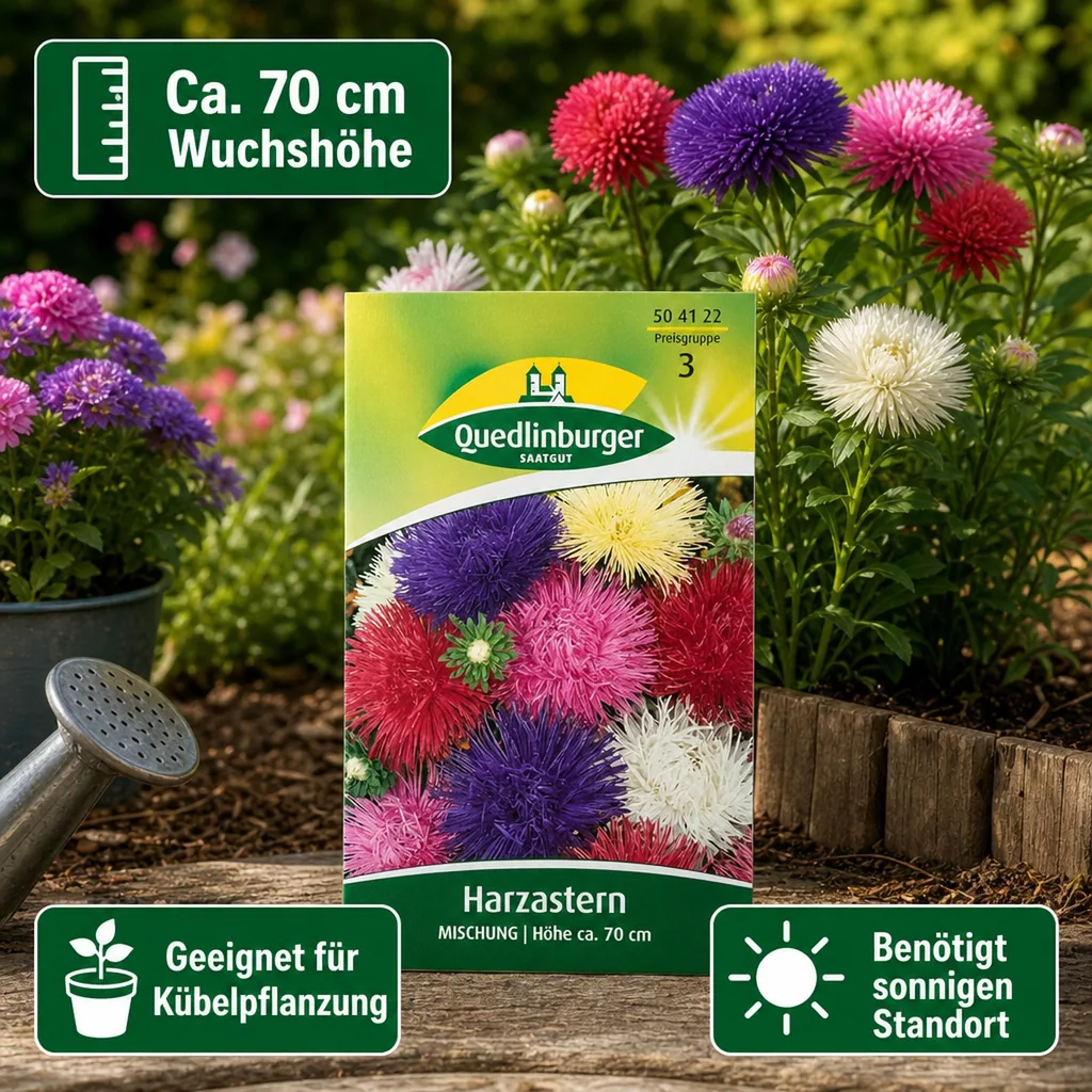Aster Samen, Sommerastern Samen, Mischung, Schnittblumen geeignet