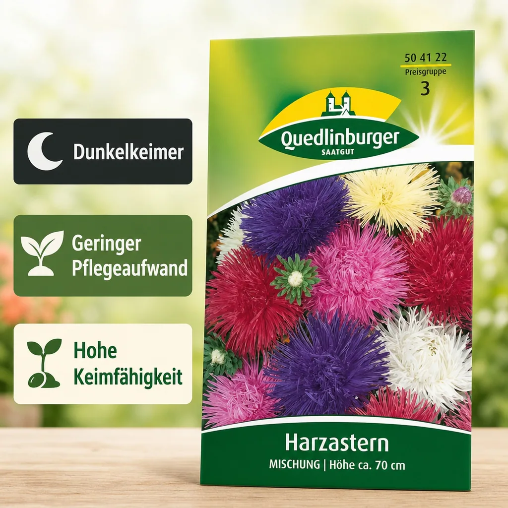Aster Samen, Sommerastern Samen, Mischung, Schnittblumen geeignet
