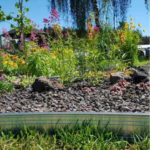 5er Set Ultra Starke Alu Rasenkanten 10cm x 2m (10m lang) | Beeteinfassung | Beetumrandung | Beetbegrenzungen, Color-GS: ohne Farbe