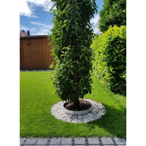 Baumring aus Alu Höhe 140 mm Durchmesser 1 m | Baumumrandung | Pflanzringe | Beeteinfassung | Rasenkante rund