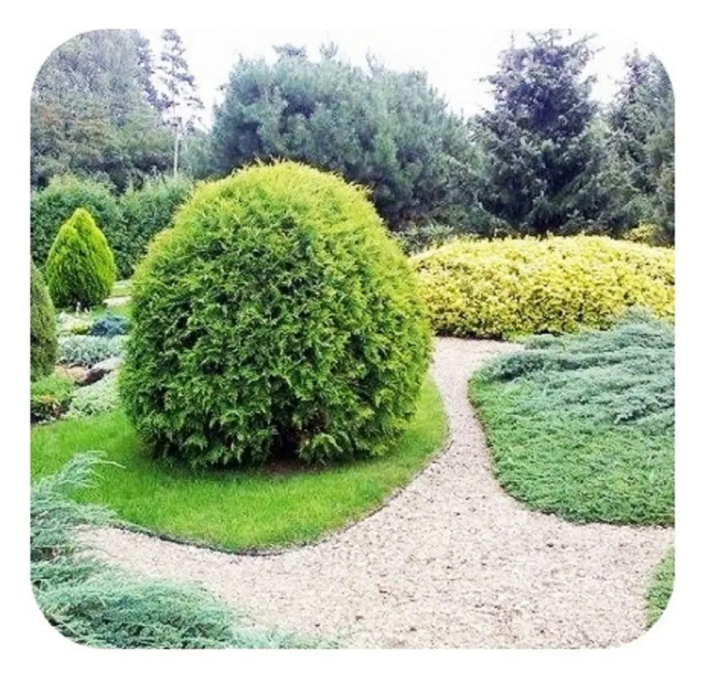 Rasenkantenband aus Kunststoff 15cm x 6m | Rasenkanten | Beeteinfassung | Beetumrandung | Beetbegrenzungen