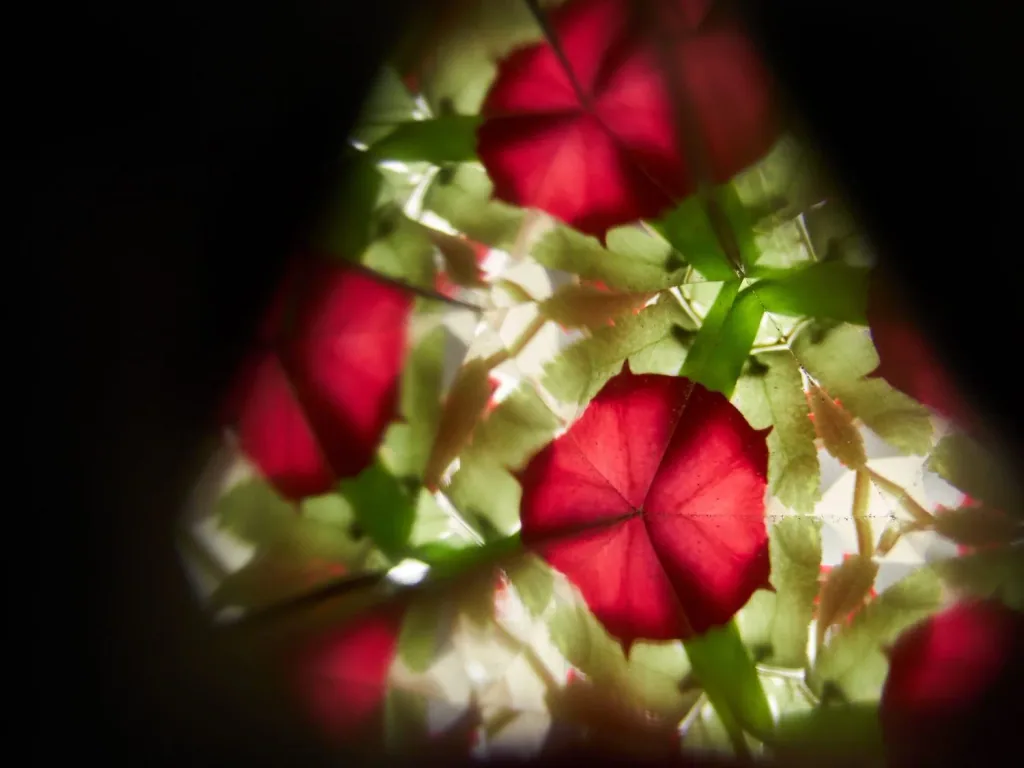 Plan Toys - Kaleidoskop, Gummibaumholz