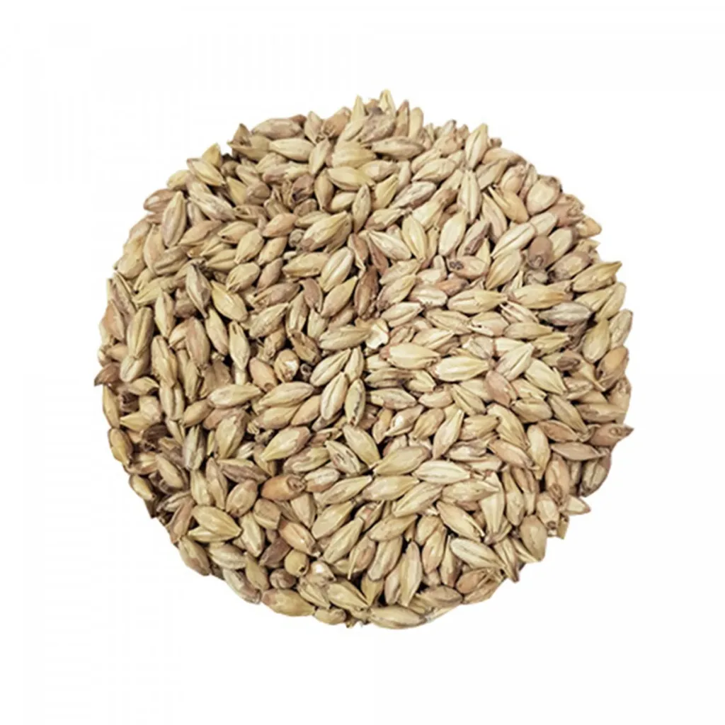Castle Malting Abbey Malz, Biermalz, Gerstenmalz - 41- 49 EBC, 1 kg, verleiht einen kräftigen Geschmack nach gebackenem Brot, Nüssen und Früchten